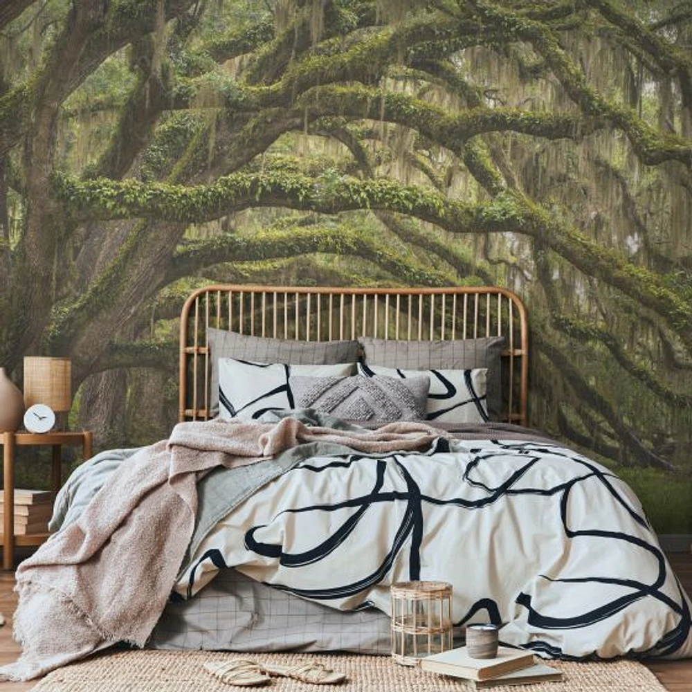 Oak Tree Forest Wallpaper Mural