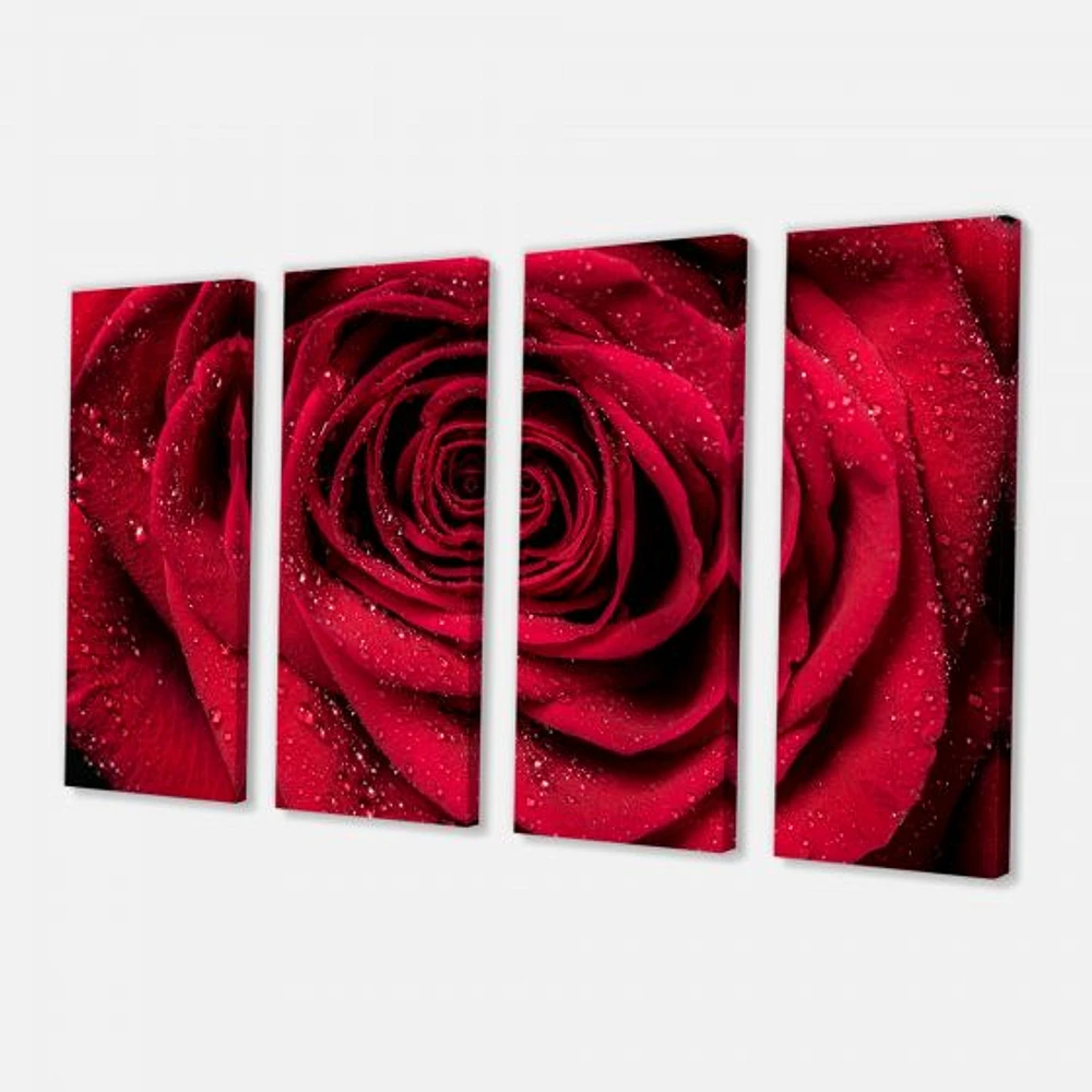 Red Rose Petals with Rain Droplets  Canvas Art Print