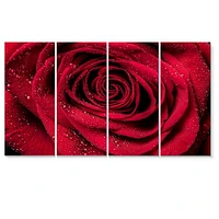 Red Rose Petals with Rain Droplets  Canvas Art Print