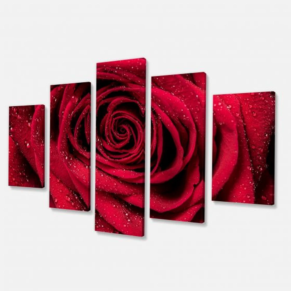 Red Rose Petals with Rain Droplets  Canvas Art Print