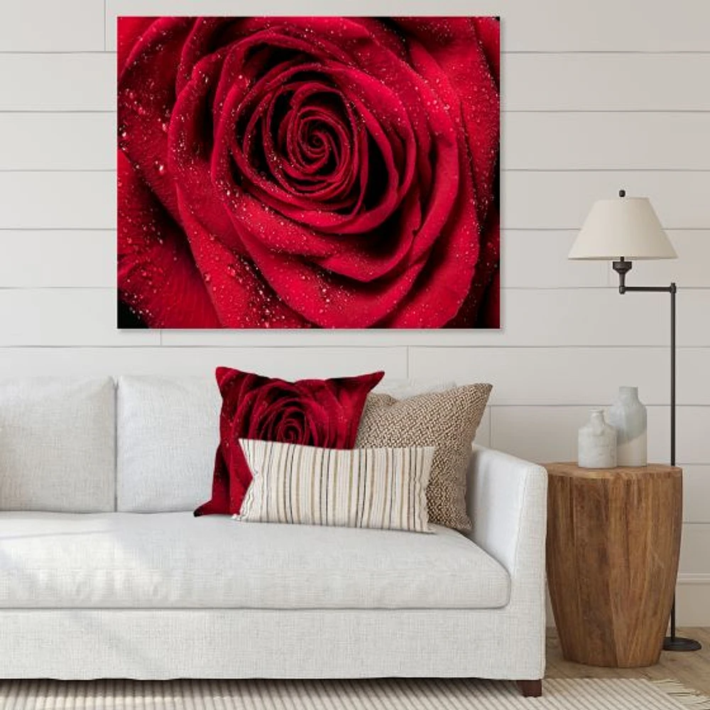 Red Rose Petals with Rain Droplets  Canvas Art Print