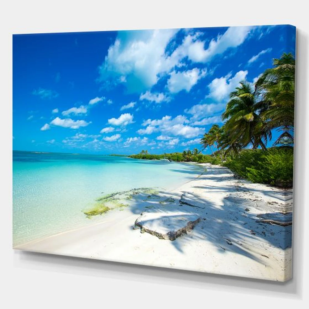 Tropical Beach with Palm Shadows  Canvas Print