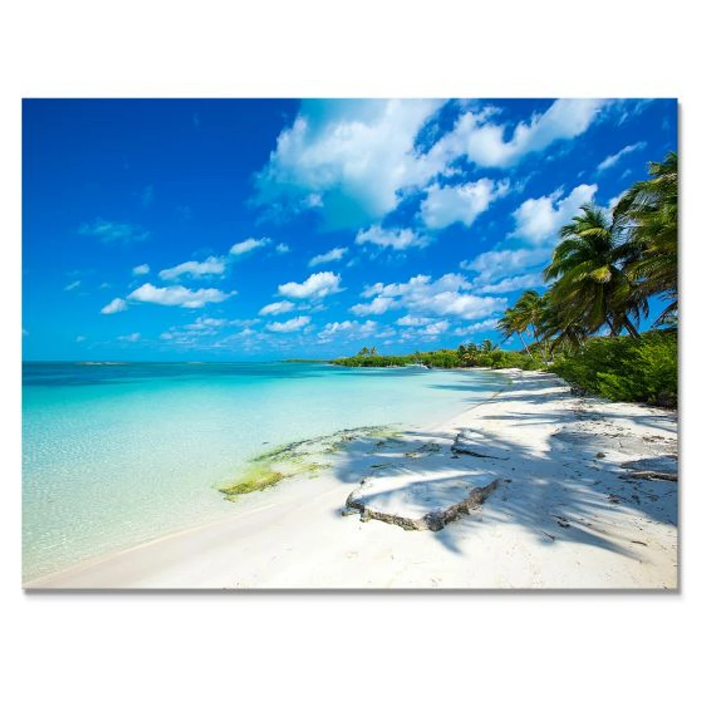 Tropical Beach with Palm Shadows  Canvas Print