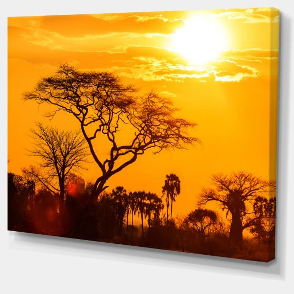 Orange Glow of African Sunset  Wall Art