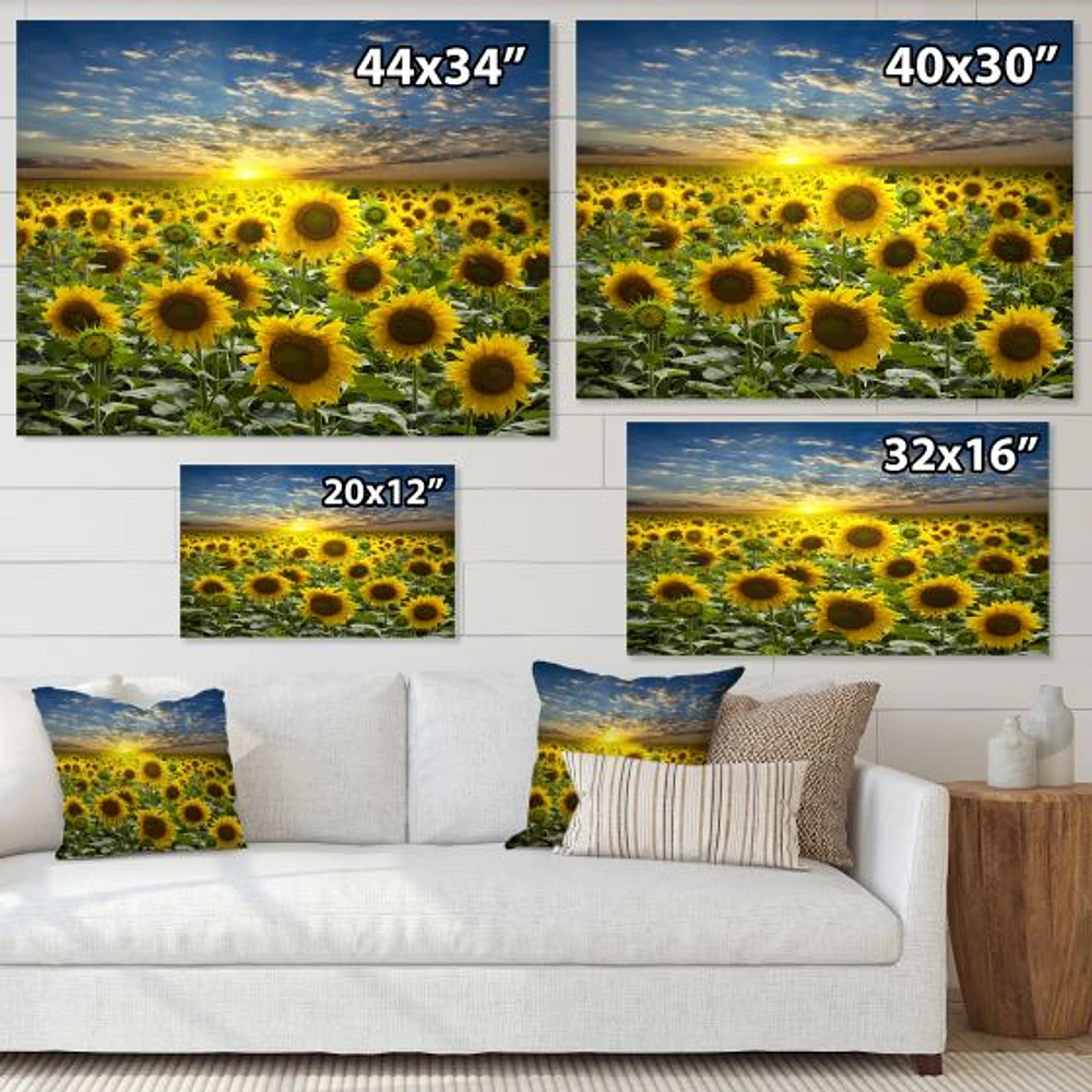 Field of Blooming SunFlowers  Canvas Wall Art