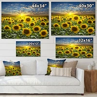 Field of Blooming SunFlowers  Canvas Wall Art