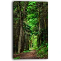 Dreamy Greenery Dense Forest  Wall Art Canvas