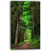 Dreamy Greenery Dense Forest  Wall Art Canvas