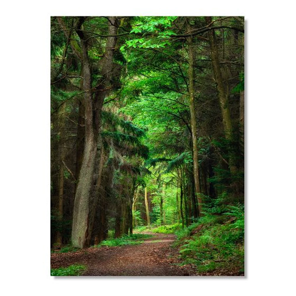 Dreamy Greenery Dense Forest  Wall Art Canvas