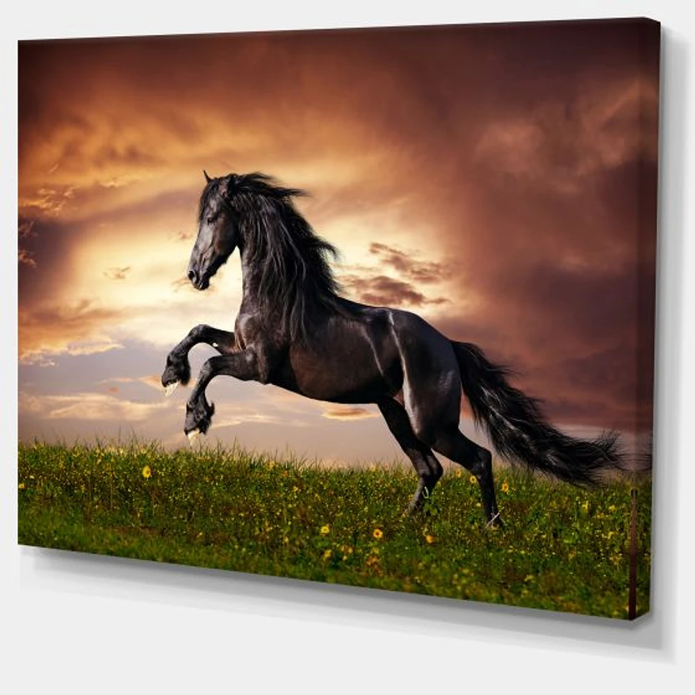 Black Friesian Horse Gallop  Wall Art