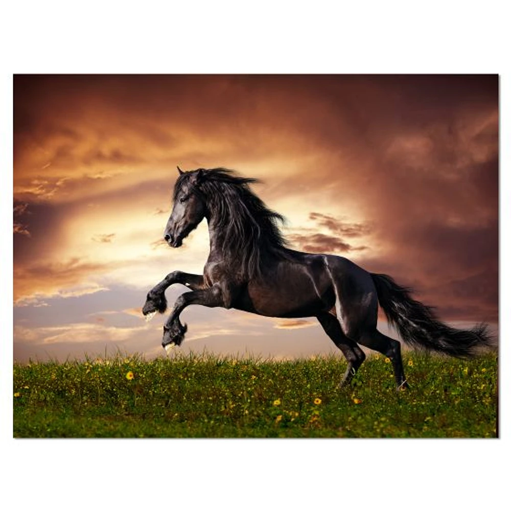 Black Friesian Horse Gallop  Wall Art