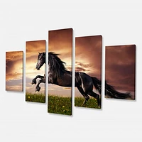 Black Friesian Horse Gallop  Canvas Wall Art