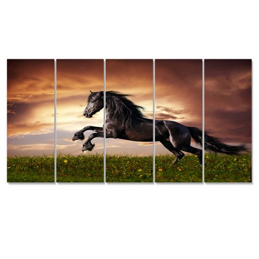 Black Friesian Horse Gallop  Canvas Wall Art