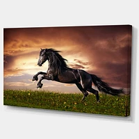 Black Friesian Horse Gallop  Wall Art