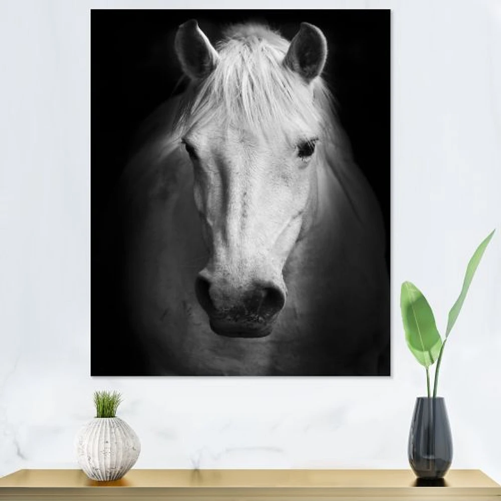 White Horse Black and  Wall Art