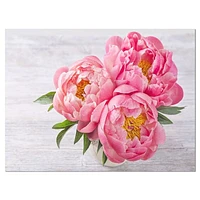 Bunch of Peony Flowers Vase  Wall Art