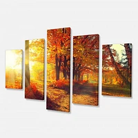 Autumnal Trees Sunrays Canvas Wall Art - 4-5 Panels