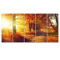 Autumnal Trees Sunrays Canvas Wall Art - 4-5 Panels