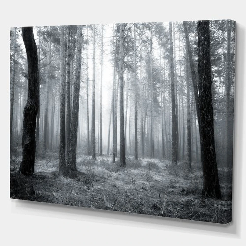 Toile « Black and White Foggy Forest