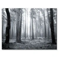 Toile « Black and White Foggy Forest