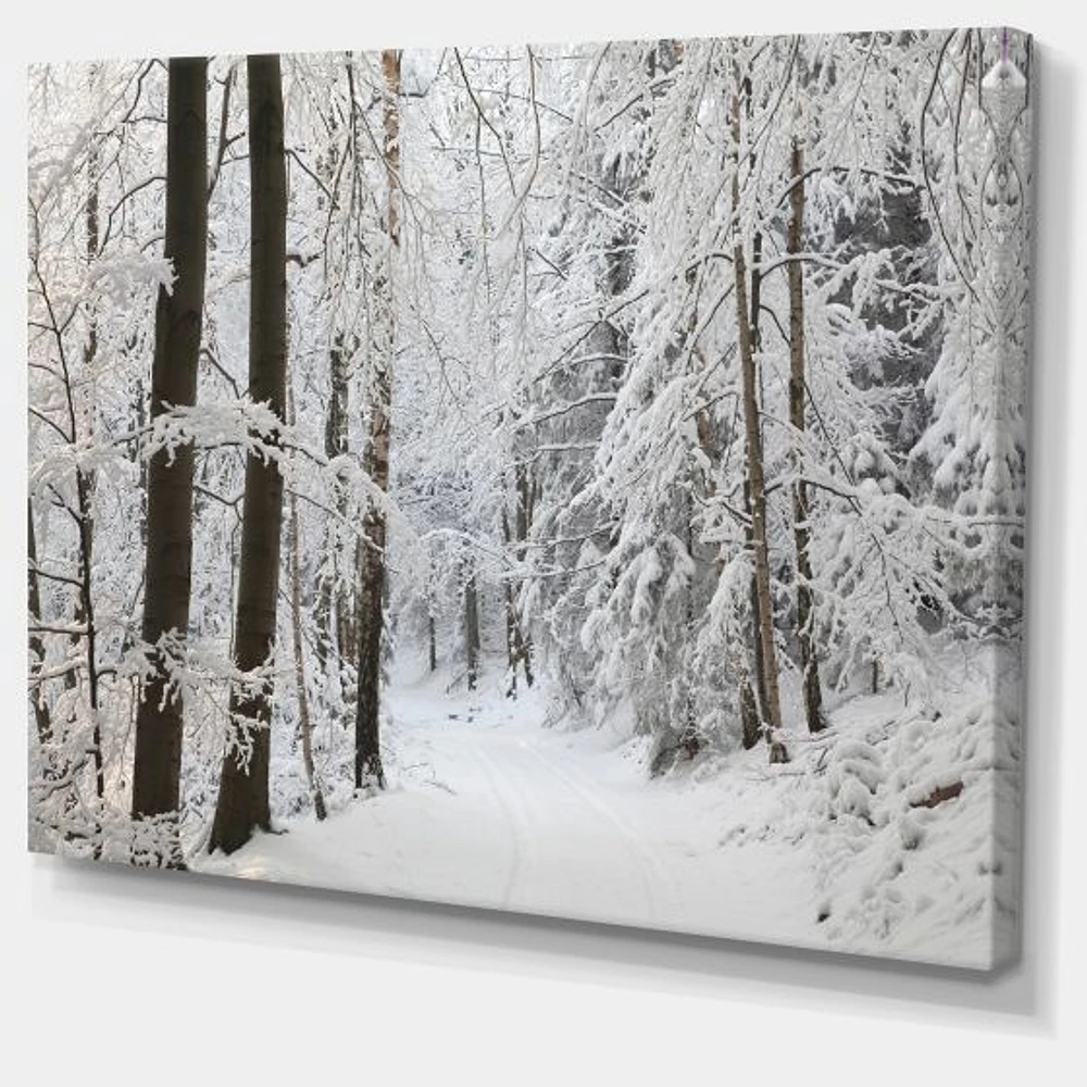 Dense Winter Forest and Lane  Wall Art