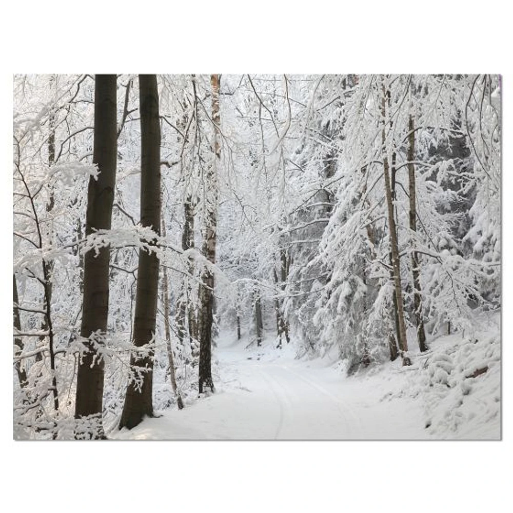 Dense Winter Forest and Lane  Wall Art