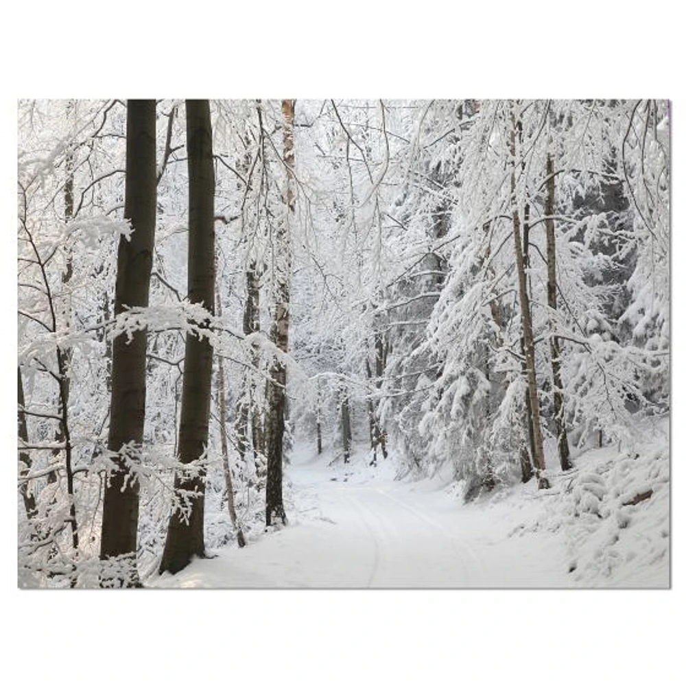 Toile « Dense Winter Forest and Lane