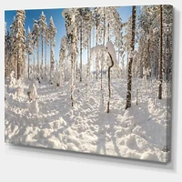 Winter Snow Covered Wood  Wall Art