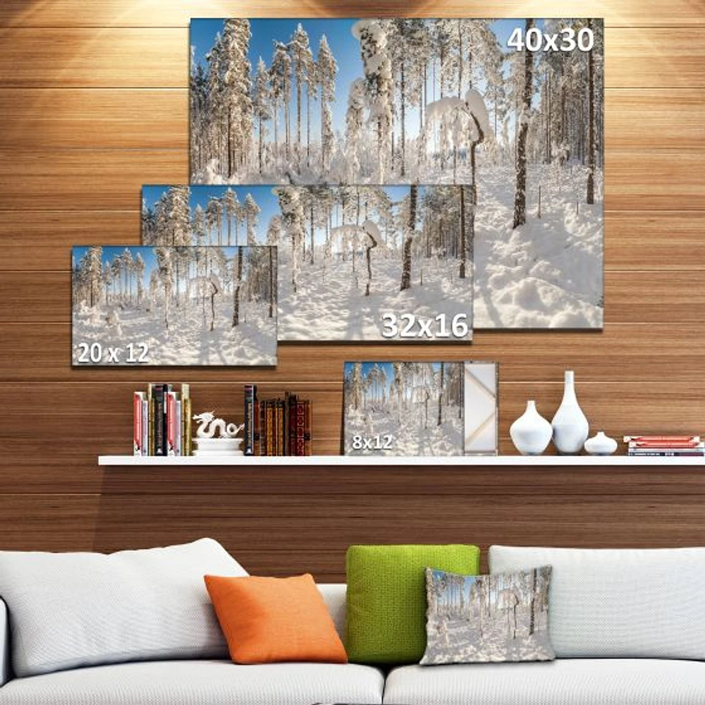 Winter Snow Covered Wood  Wall Art