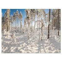 Toile « Winter Snow Covered Wood