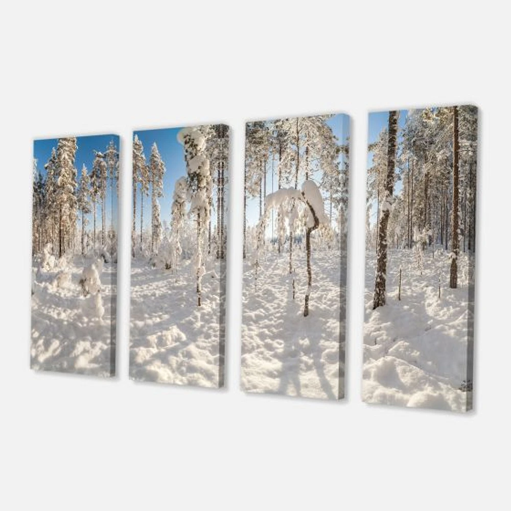 Winter Snow Covered Wood  Canvas Wall Art