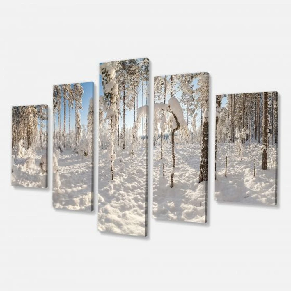 Winter Snow Covered Wood  Canvas Wall Art