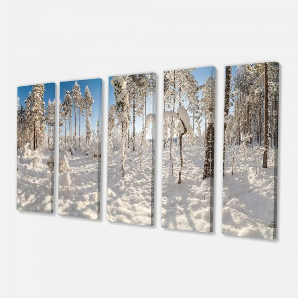 Winter Snow Covered Wood  Canvas Wall Art