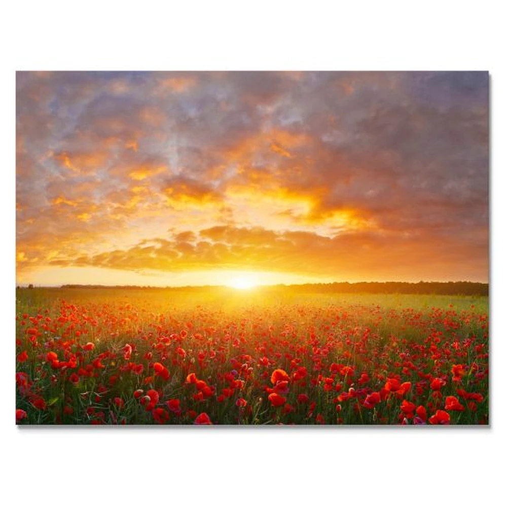 Toile « Poppy Field under Bright Sunset »