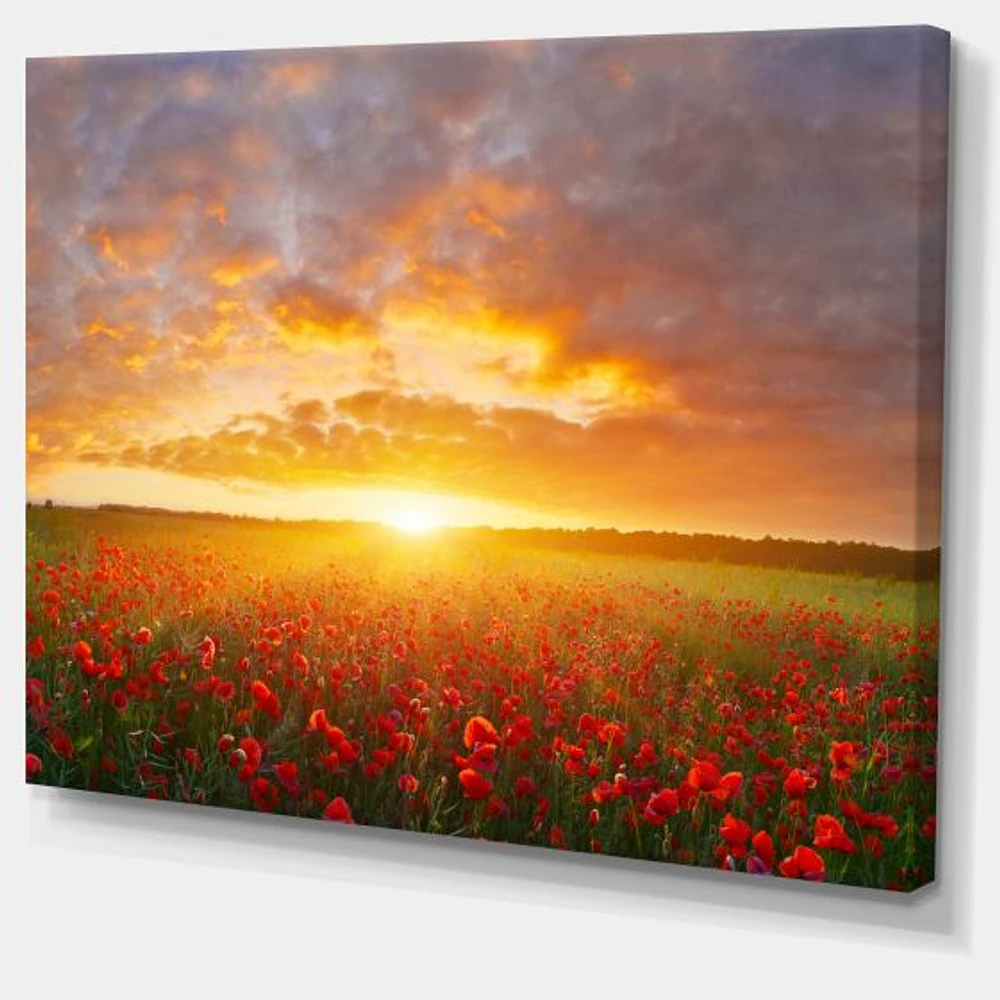 Poppy Field under Bright Sunset  Wall Art