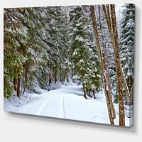 Snowy Road the Forest  Wall Art