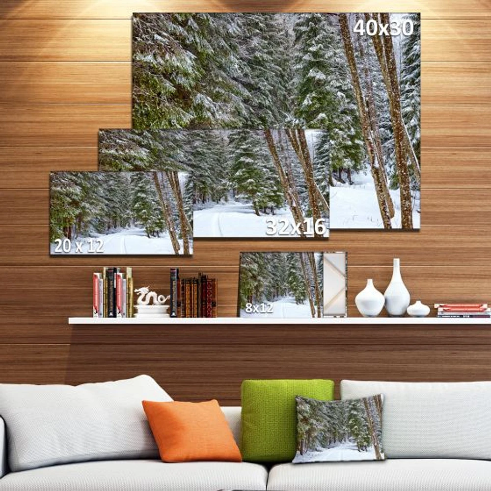 Snowy Road the Forest  Wall Art