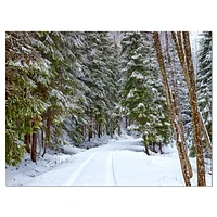 Snowy Road the Forest  Wall Art