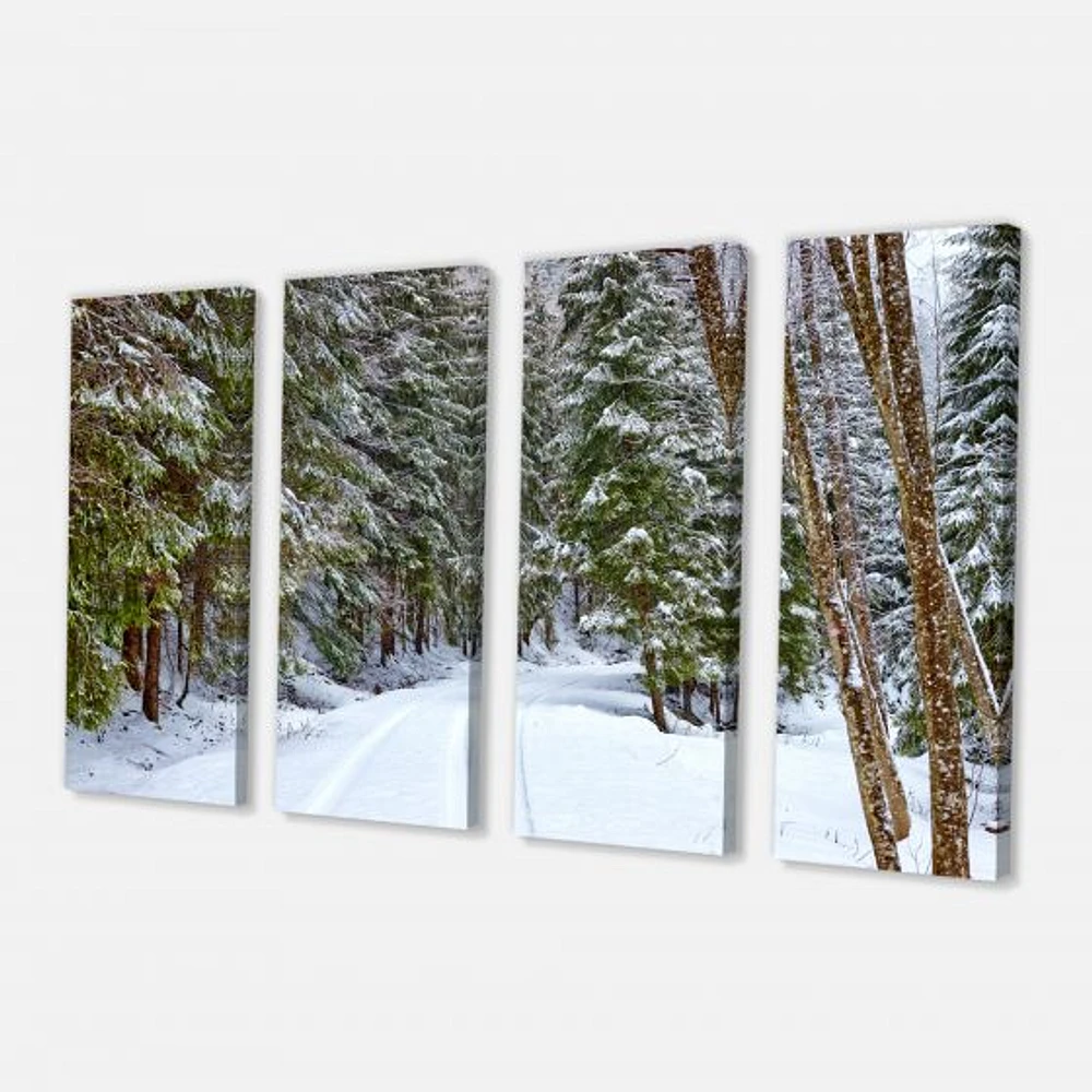 Snowy Road the Forest  Canvas Wall Art