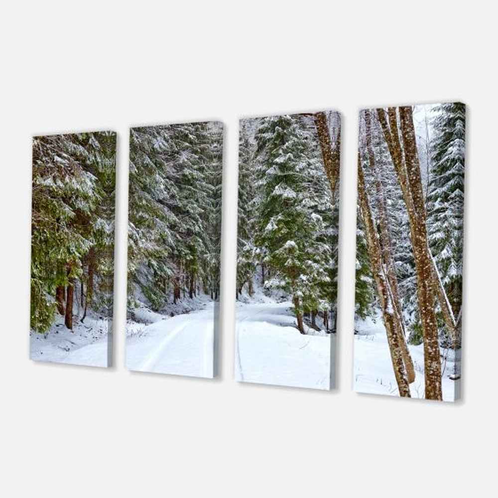 Snowy Road the Forest  Canvas Wall Art