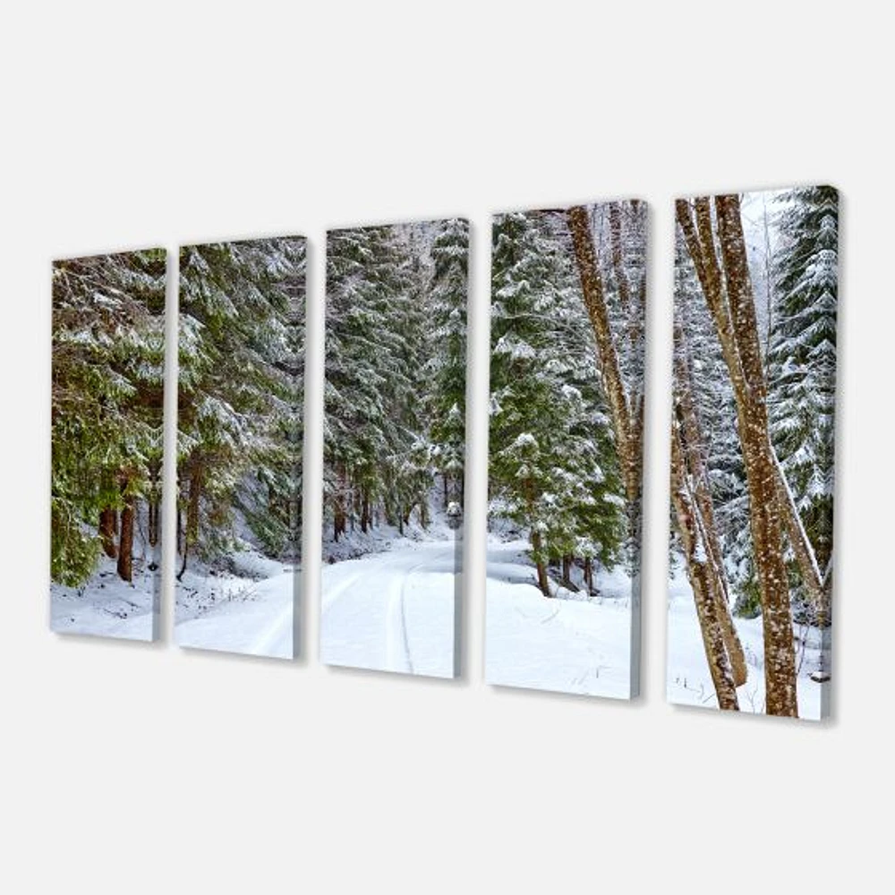 Snowy Road the Forest  Canvas Wall Art