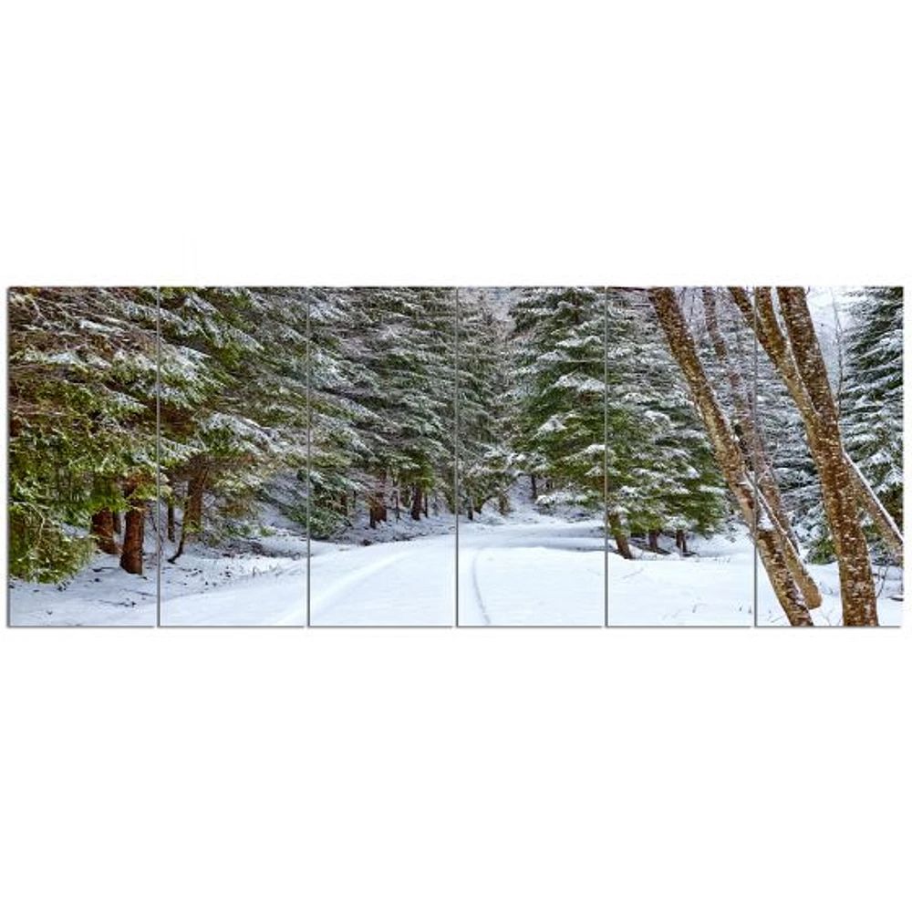 Snowy Road the Forest  Canvas Wall Art