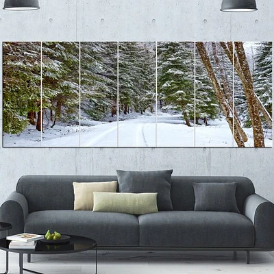 Snowy Road the Forest  Canvas Wall Art