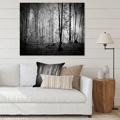 Beautiful Forest Morning Panorama  Canvas Art Print