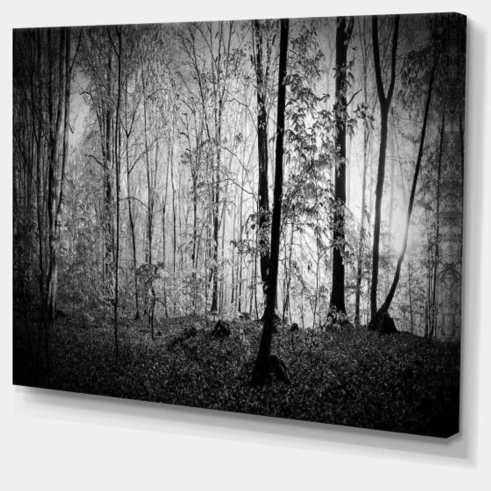 Toile  imprimée « Beautiful Forest Morning Panorama »