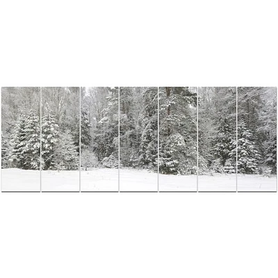 Foggy Winter Forest Panorama  Wall Art