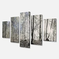 Dark Morning the Forest 4 Canvas Wall Art