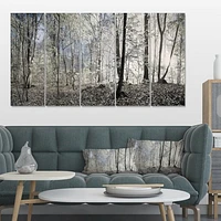 Dark Morning the Forest 4 Canvas Wall Art