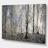 Dark Morning Forest Panorama  Canvas Wall Art Print