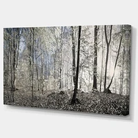 Dark Morning Forest Panorama  Canvas Wall Art Print